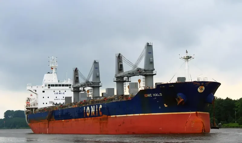 IONIC HALO Bulk Carrier IMO 9595369 photo 10