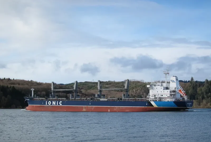 IONIC HUNTRESS Bulk Carrier IMO 9595371 photo 6