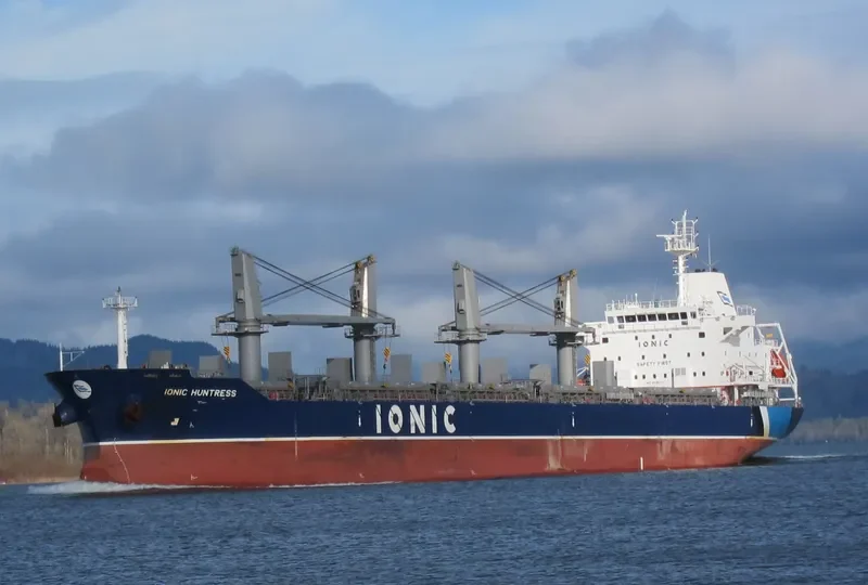 IONIC HUNTRESS Bulk Carrier IMO 9595371 photo 7
