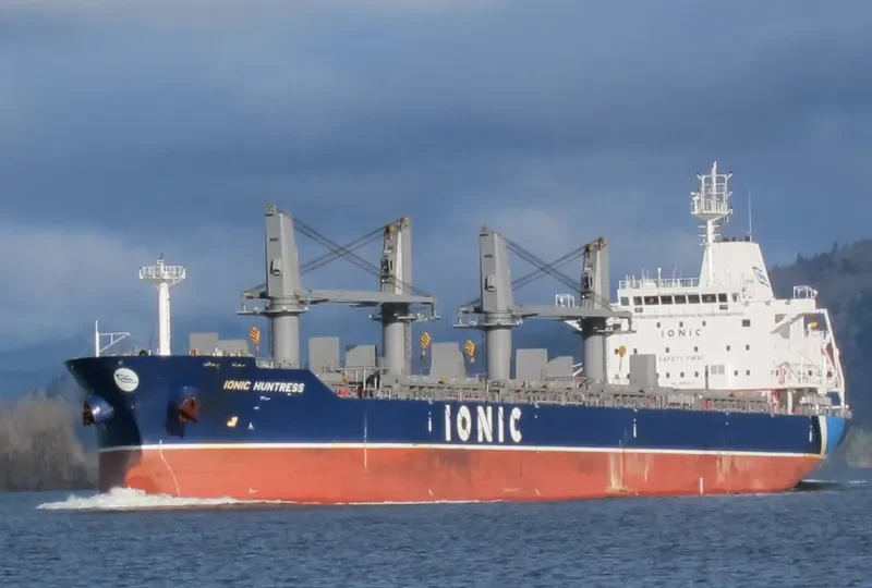 IONIC HUNTRESS Bulk Carrier IMO 9595371 photo 8