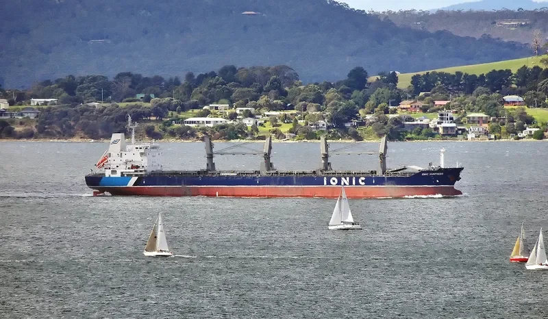 IONIC HUNTRESS Bulk Carrier IMO 9595371 photo 10