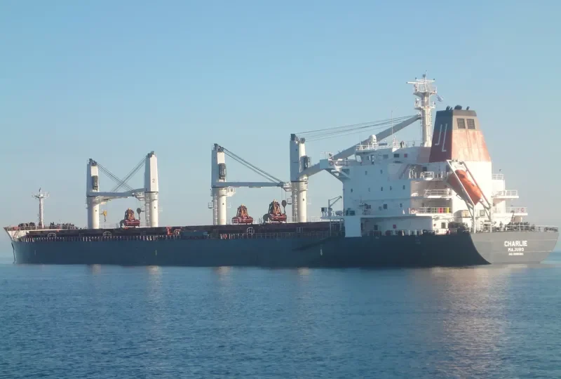 CHARLIE Bulk Carrier IMO 9595383 photo 6