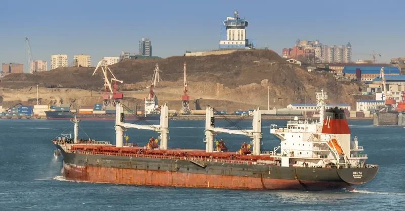 DELTA Bulk Carrier IMO 9595395 photo 3