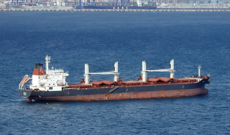 DELTA Bulk Carrier IMO 9595395 photo 6