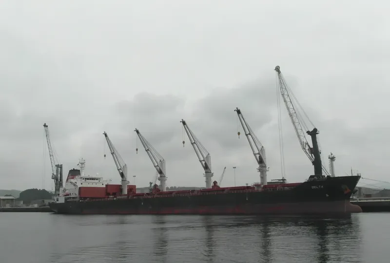 DELTA Bulk Carrier IMO 9595395 photo 7