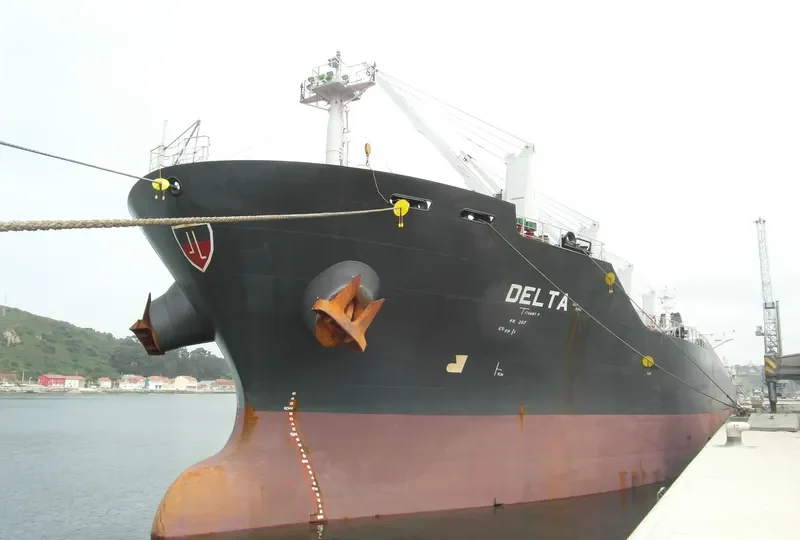 DELTA Bulk Carrier IMO 9595395 photo 8