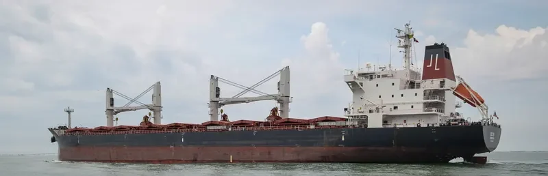 DELTA Bulk Carrier IMO 9595395 photo 9