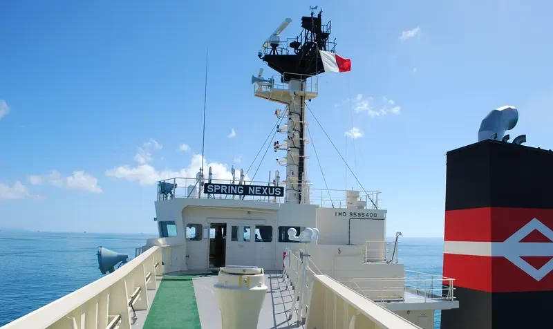 SPRING NEXUS Bulk Carrier IMO 9595400 photo 3