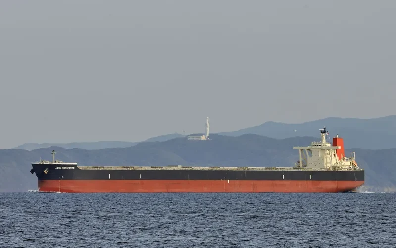 AZUL HORIZONTE Bulk Carrier IMO 9595412