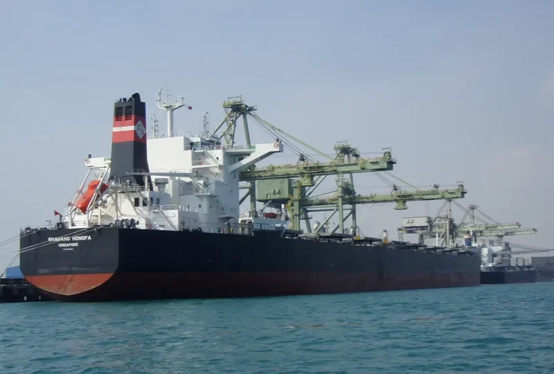SHAGANG HONGFA Bulk Carrier IMO 9595591 photo 3