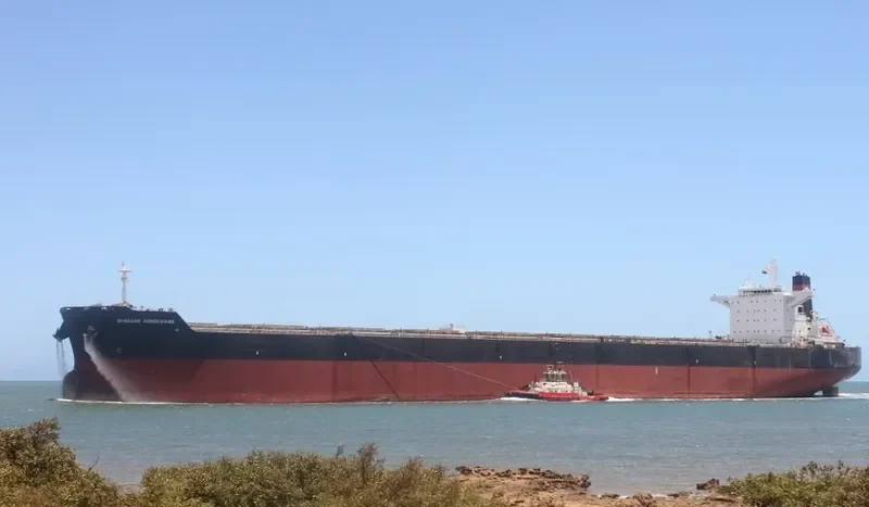 HONOR Bulk Carrier IMO 9595606