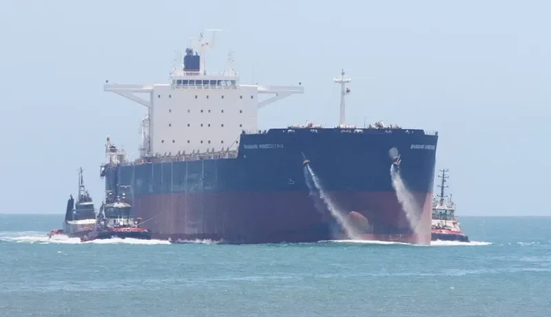 HONOR Bulk Carrier IMO 9595606 photo 3