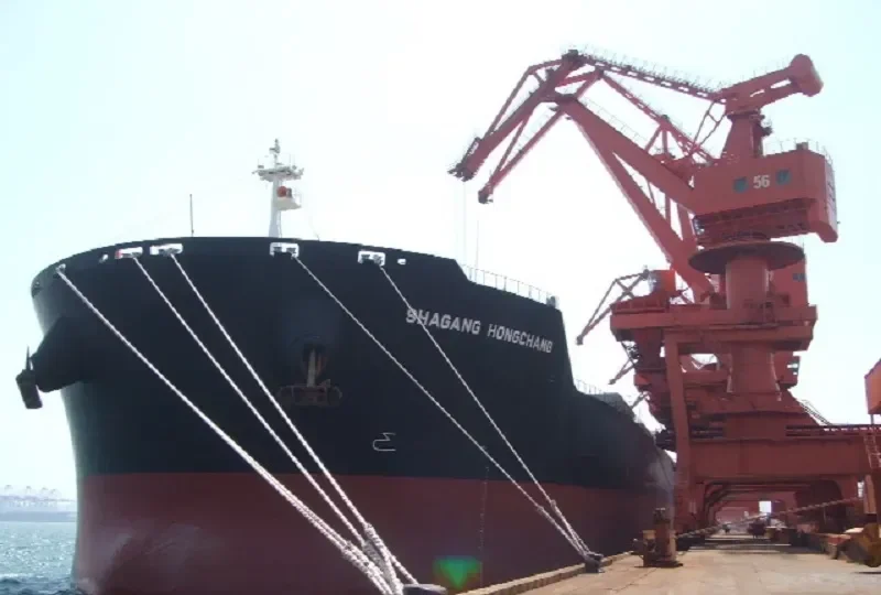 HONOR Bulk Carrier IMO 9595606 photo 4