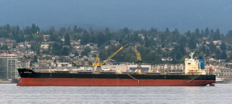 GREAT WEALTH Bulk Carrier IMO 9595709 photo 4