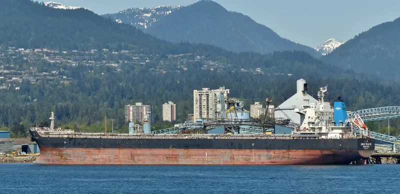 GREAT WEALTH Bulk Carrier IMO 9595709 photo 6