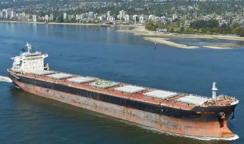 GREAT WEALTH Bulk Carrier IMO 9595709 photo 7