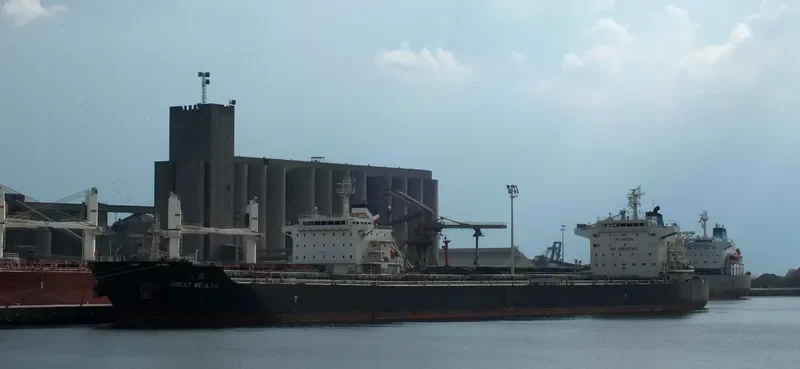 GREAT WEALTH Bulk Carrier IMO 9595709 photo 10
