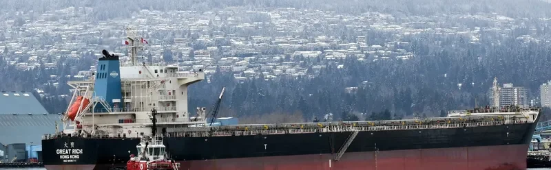 GREAT RICH Bulk Carrier IMO 9595711 photo 2