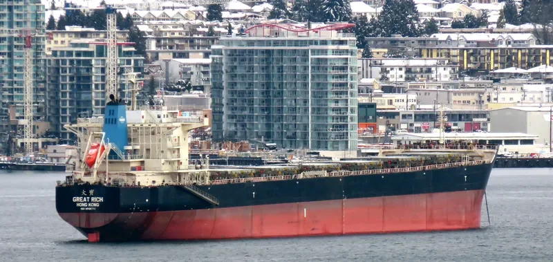 GREAT RICH Bulk Carrier IMO 9595711 photo 5