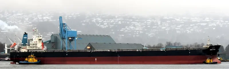 GREAT RICH Bulk Carrier IMO 9595711 photo 7