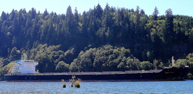 GREAT RICH Bulk Carrier IMO 9595711 photo 9
