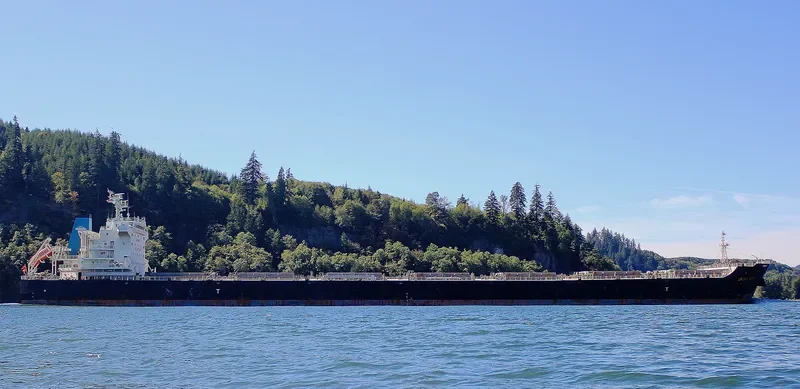GREAT RICH Bulk Carrier IMO 9595711 photo 10