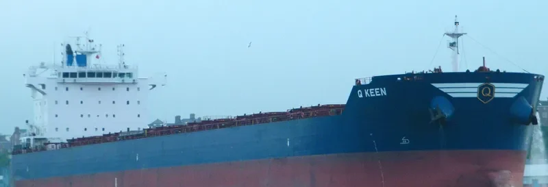 GOLDEN KEEN Bulk Carrier IMO 9595723 photo 3