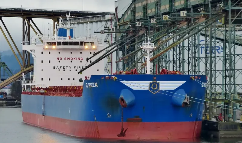 GOLDEN KEEN Bulk Carrier IMO 9595723 photo 5