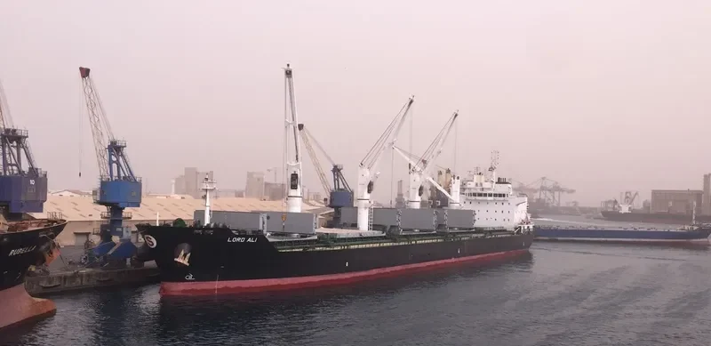 ELISAR Bulk Carrier IMO 9595747 photo 3