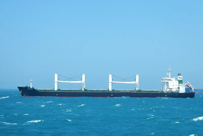 ELISAR Bulk Carrier IMO 9595747 photo 4