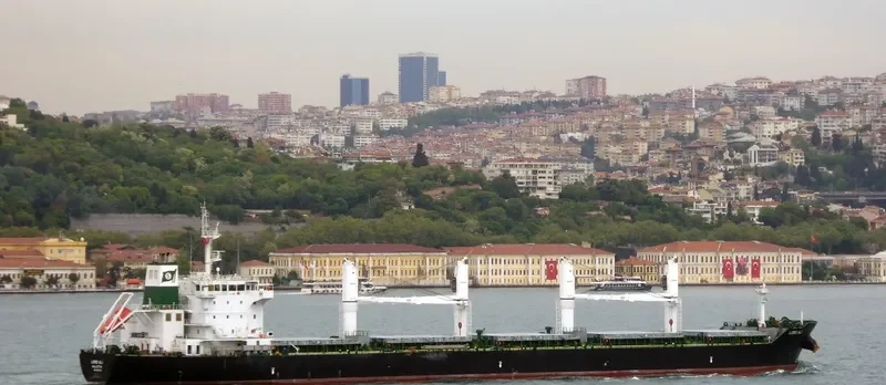 ELISAR Bulk Carrier IMO 9595747 photo 5