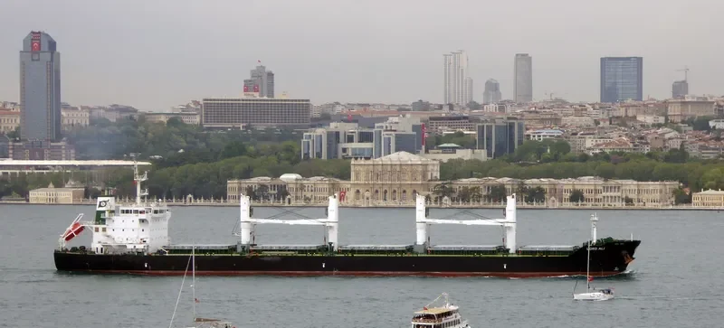 ELISAR Bulk Carrier IMO 9595747 photo 6