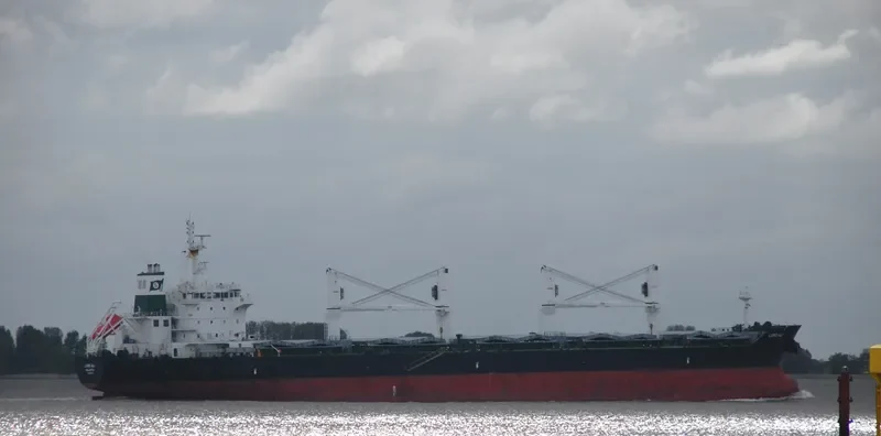 ELISAR Bulk Carrier IMO 9595747 photo 7