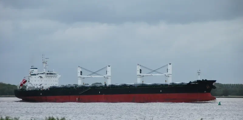 ELISAR Bulk Carrier IMO 9595747 photo 8