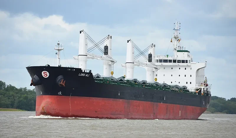 ELISAR Bulk Carrier IMO 9595747 photo 9