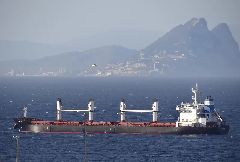 ADELINA Bulk Carrier IMO 9595785