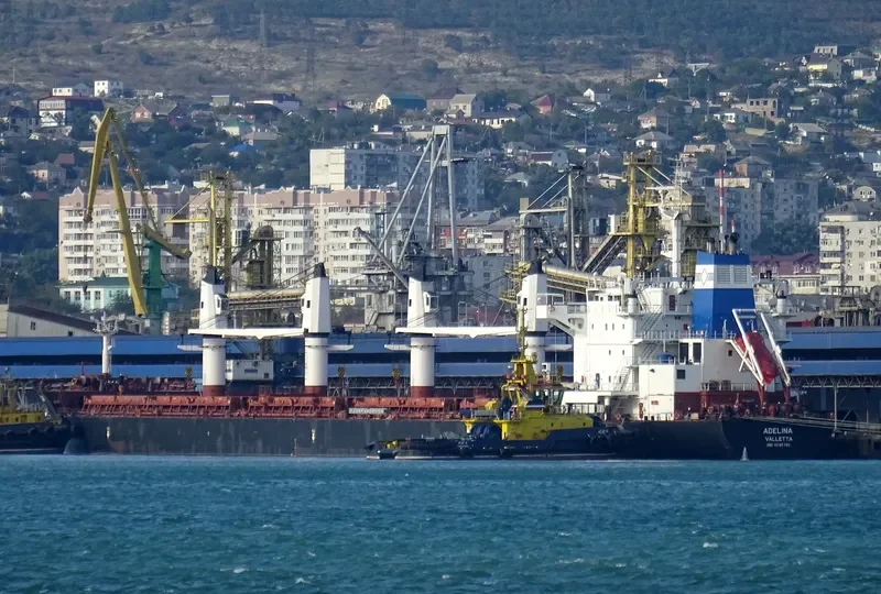 ADELINA Bulk Carrier IMO 9595785 photo 2
