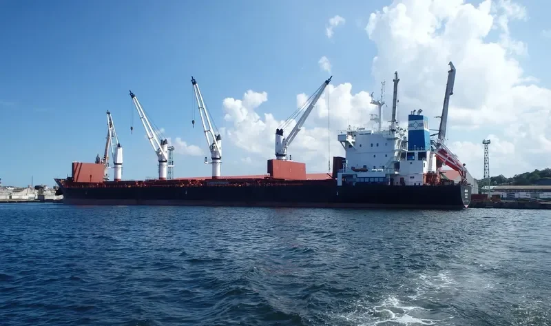 ADELINA Bulk Carrier IMO 9595785 photo 3