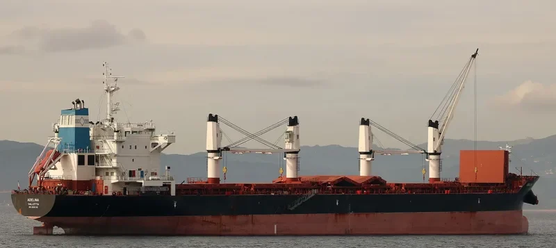 ADELINA Bulk Carrier IMO 9595785 photo 5