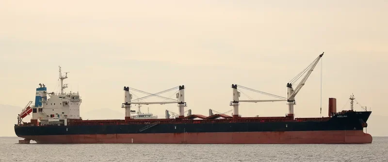 ADELINA Bulk Carrier IMO 9595785 photo 6