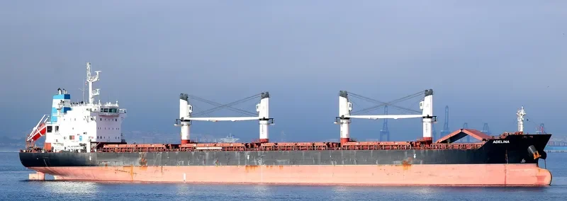 ADELINA Bulk Carrier IMO 9595785 photo 7