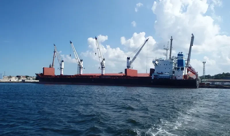 ADELINA Bulk Carrier IMO 9595785 photo 8