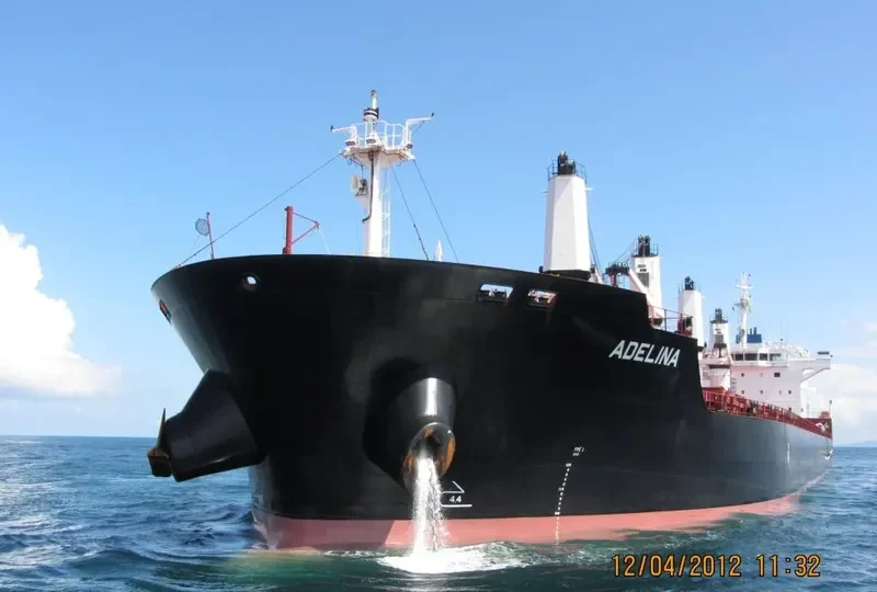 ADELINA Bulk Carrier IMO 9595785 photo 10