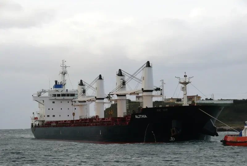 ALITHIA Bulk Carrier IMO 9595840 photo 2