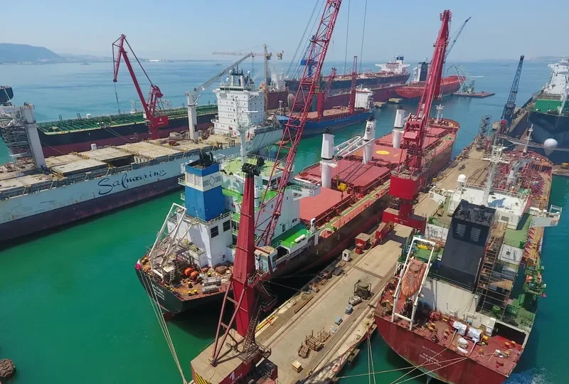 ALITHIA Bulk Carrier IMO 9595840 photo 3