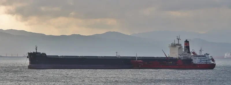 CHRYSSA K Bulk Carrier IMO 9595852 photo 7