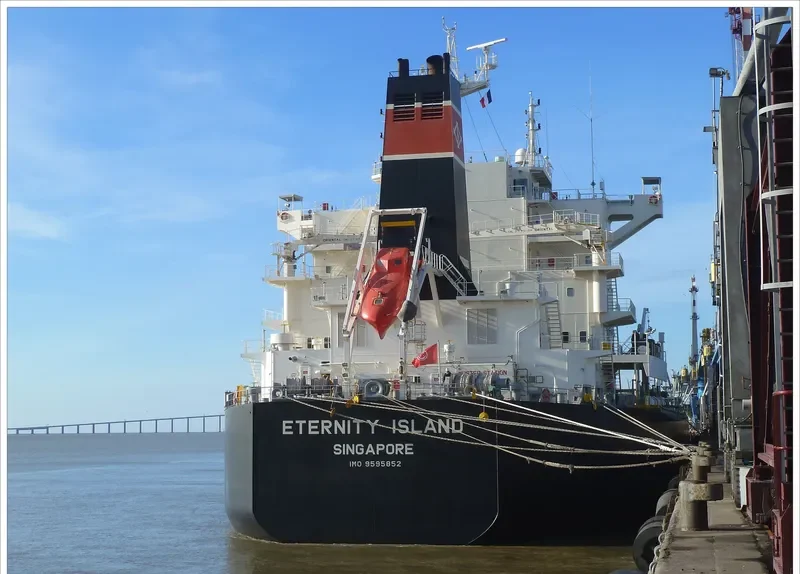 CHRYSSA K Bulk Carrier IMO 9595852 photo 10