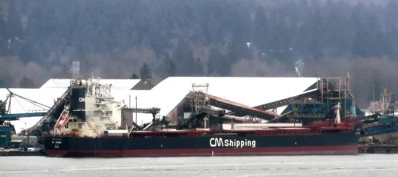 CK ANGIE Bulk Carrier IMO 9595864 photo 4
