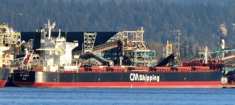 CK ANGIE Bulk Carrier IMO 9595864 photo 5