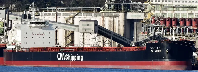 CK ANGIE Bulk Carrier IMO 9595864 photo 6